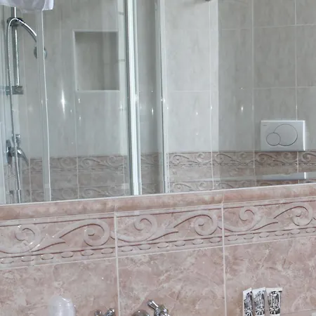 艾里西欧酒店 酒店 4*